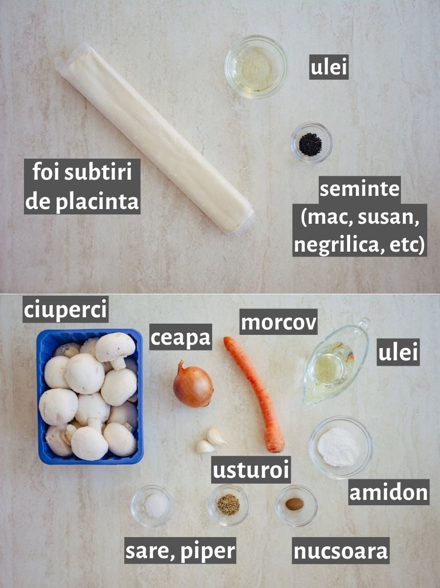 ingrediente cu etichete pentru reteta de trigoane cu ciuperci