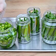 ardei iuti intrei si taiati rondele, pusi in borcane pentru conservare