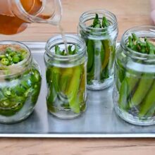 borcane cu ardei iuti umplute pe jumatate cu otet de 9 grade, apoi completate cu apa