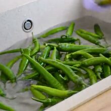 ardei iuti spalati in apa rece in vederea conservarii cu otet pentru iarna