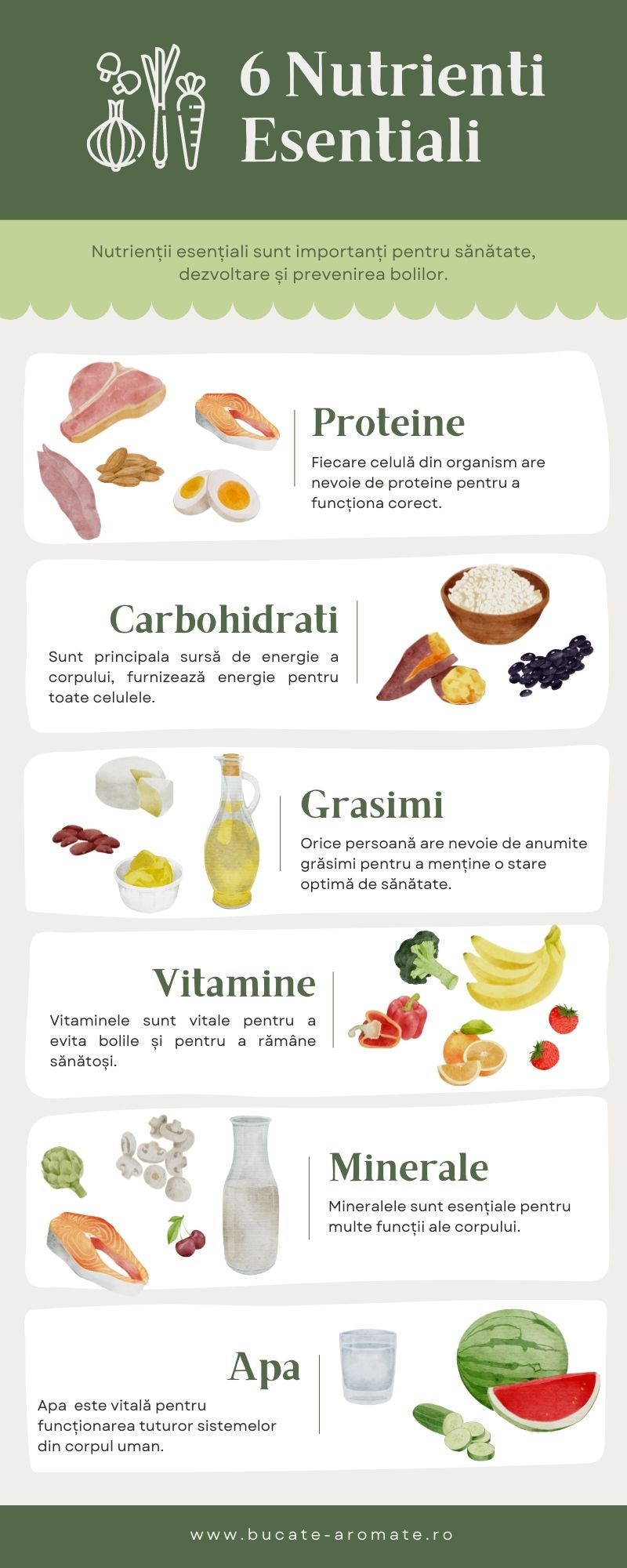 infografic cu cei 6 nutrienți esențiali pentru sănătatea organismului uman proteine, carbohidrați, grăsimi, vitamine, minerale, apa