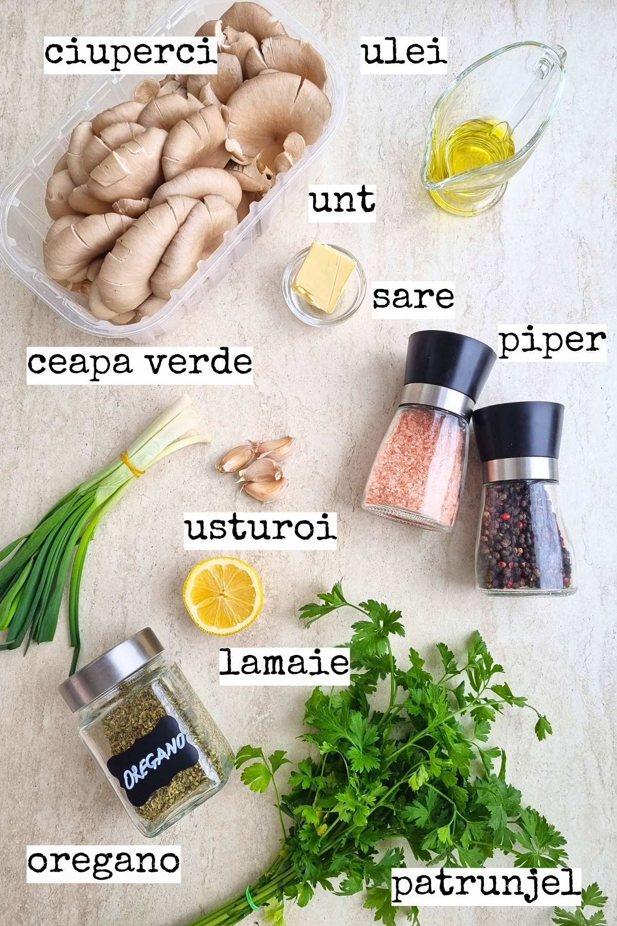 ingrediente cu etichete pentru reteta de ciuperci pleurotus la tigaie