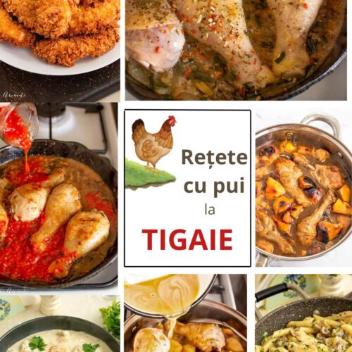colectie de retete cu carne de pui gatita la tigaie
