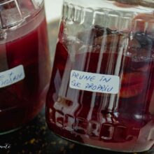 prune in suc propriu la borcan pentru iarna