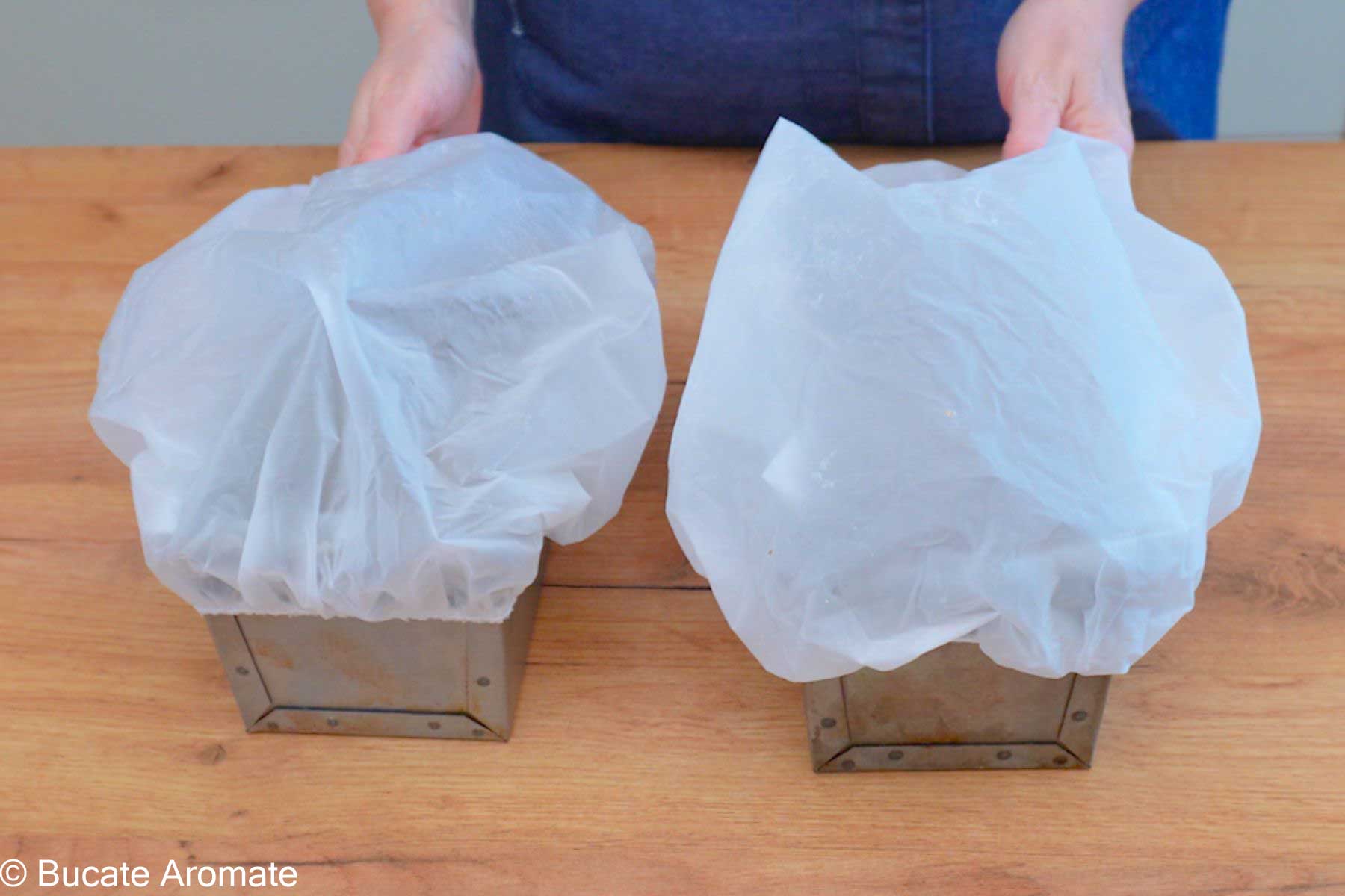 Babka împletită, așezată în tavă înainte de a doua dospire