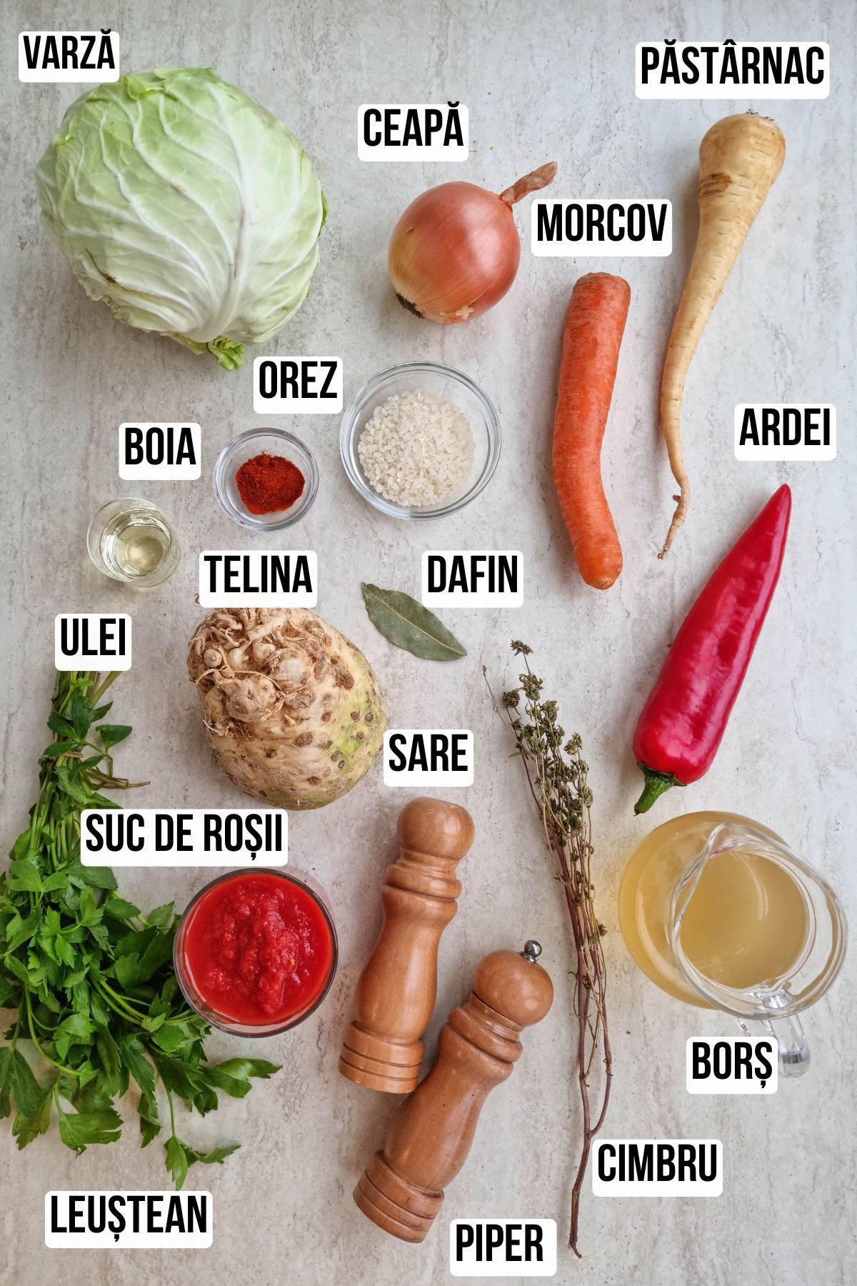Lista de ingrediente cu etichete pentru reteta moldoveneasca de ciorba de varza cu bors si leustean