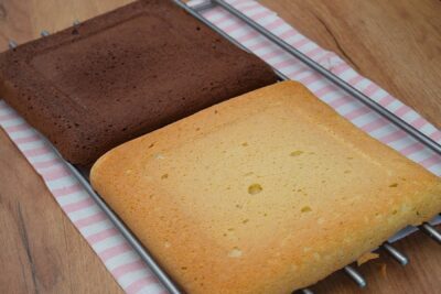 Blaturi pentru prăjitura Zi și Noapte, unul simplu și unul cu cacao, coapte și răcite