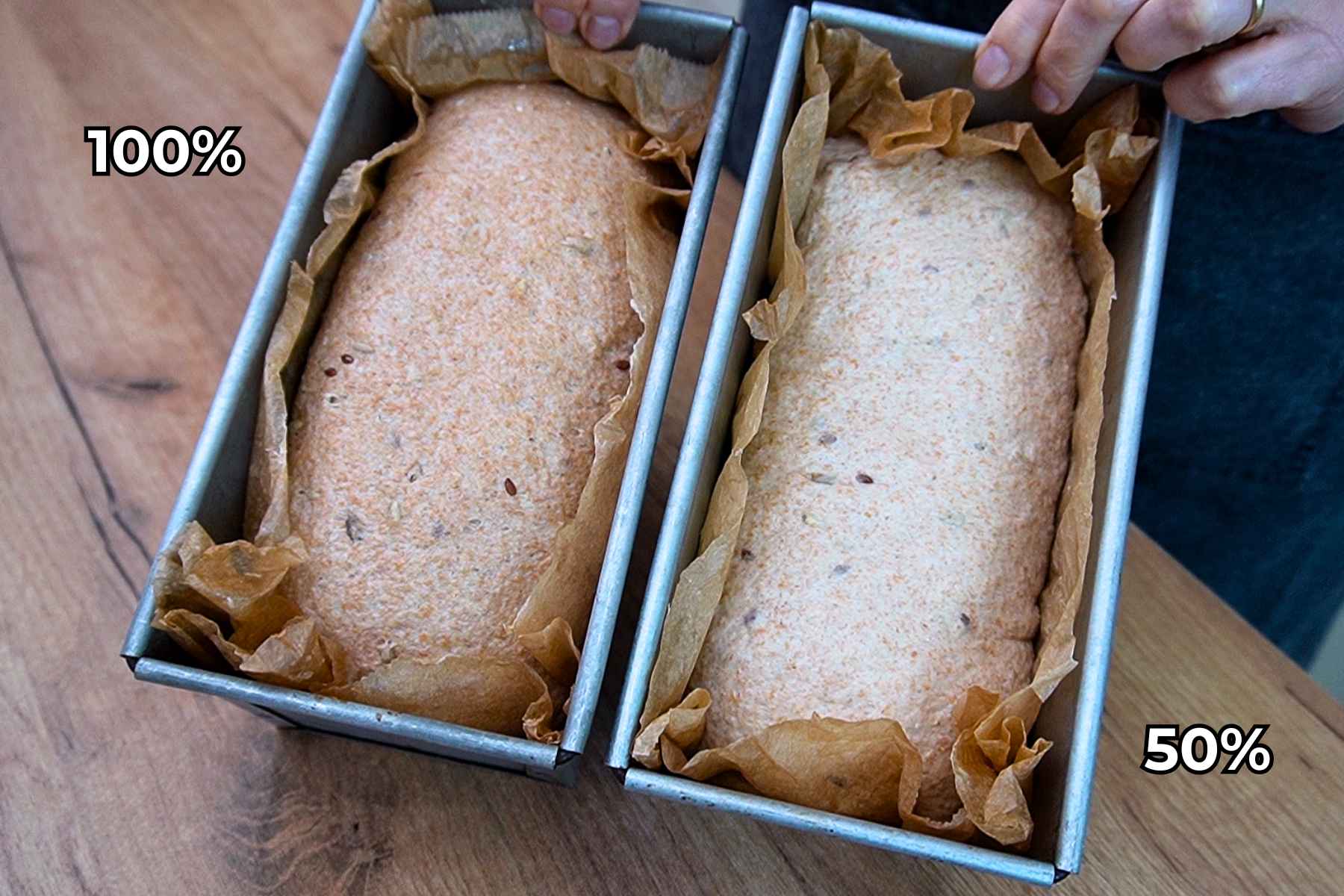 Aluaturi pentru pâine cu 50% și 100% făină integrală, crescute în tăvi înainte de coacere